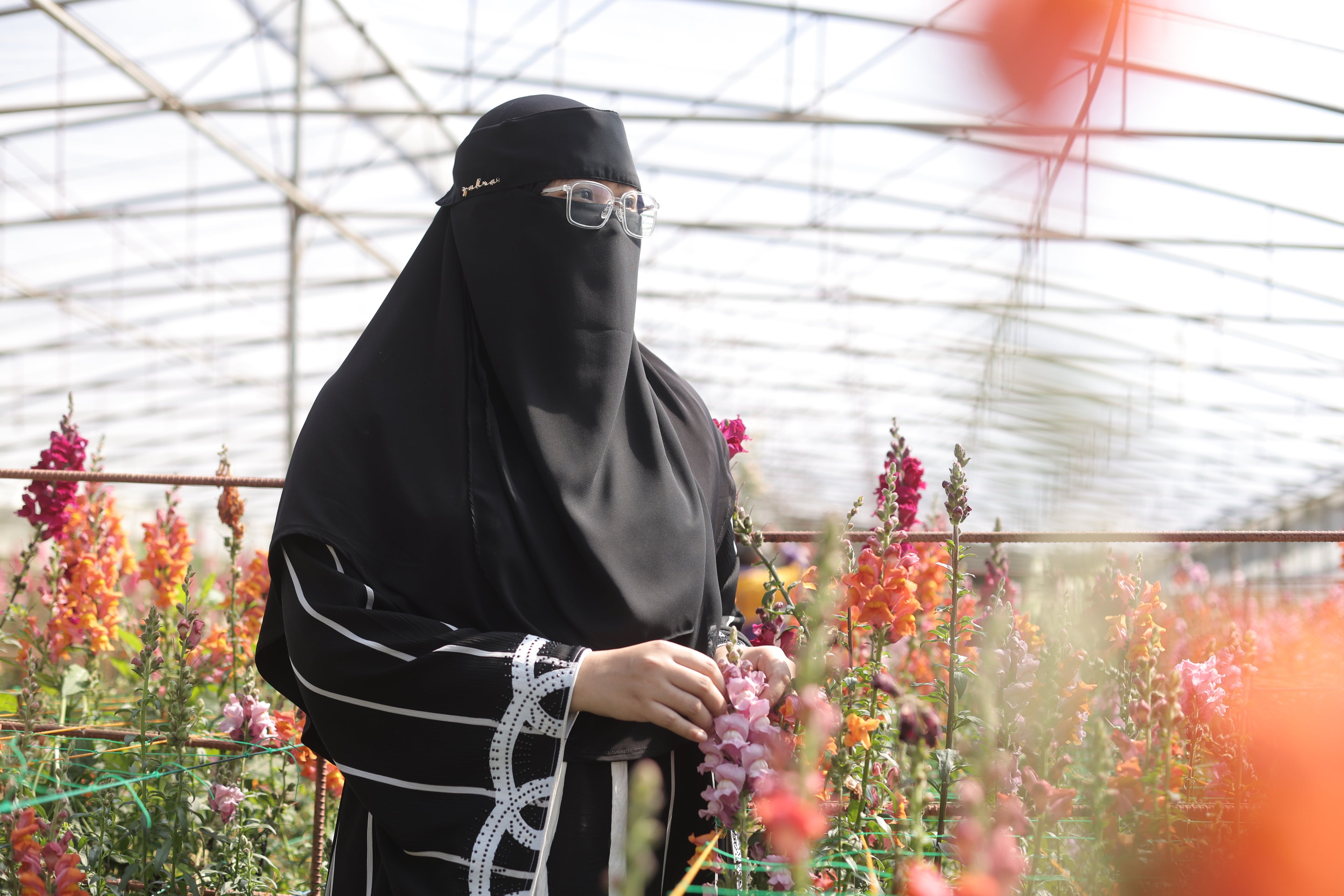 MALAIKA NIQAB